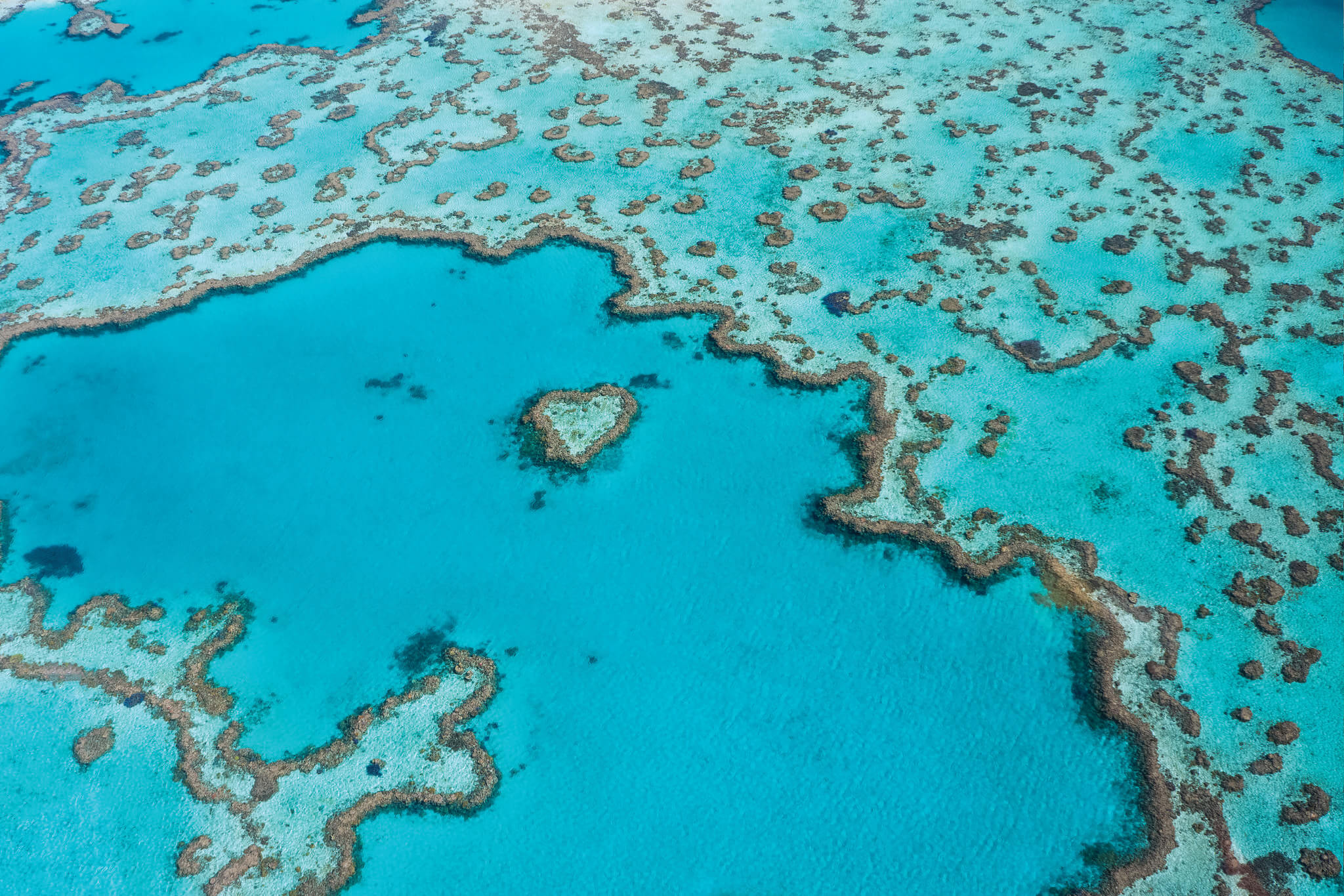 no-plan-for-climate-change-in-updated-reef-2050-plan-australian