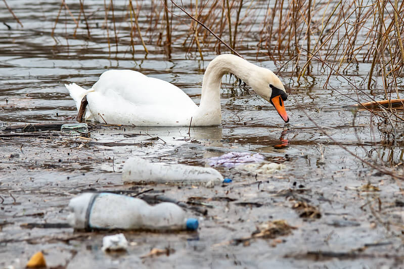 10-of-the-most-dangerous-plastics-polluting-our-oceans