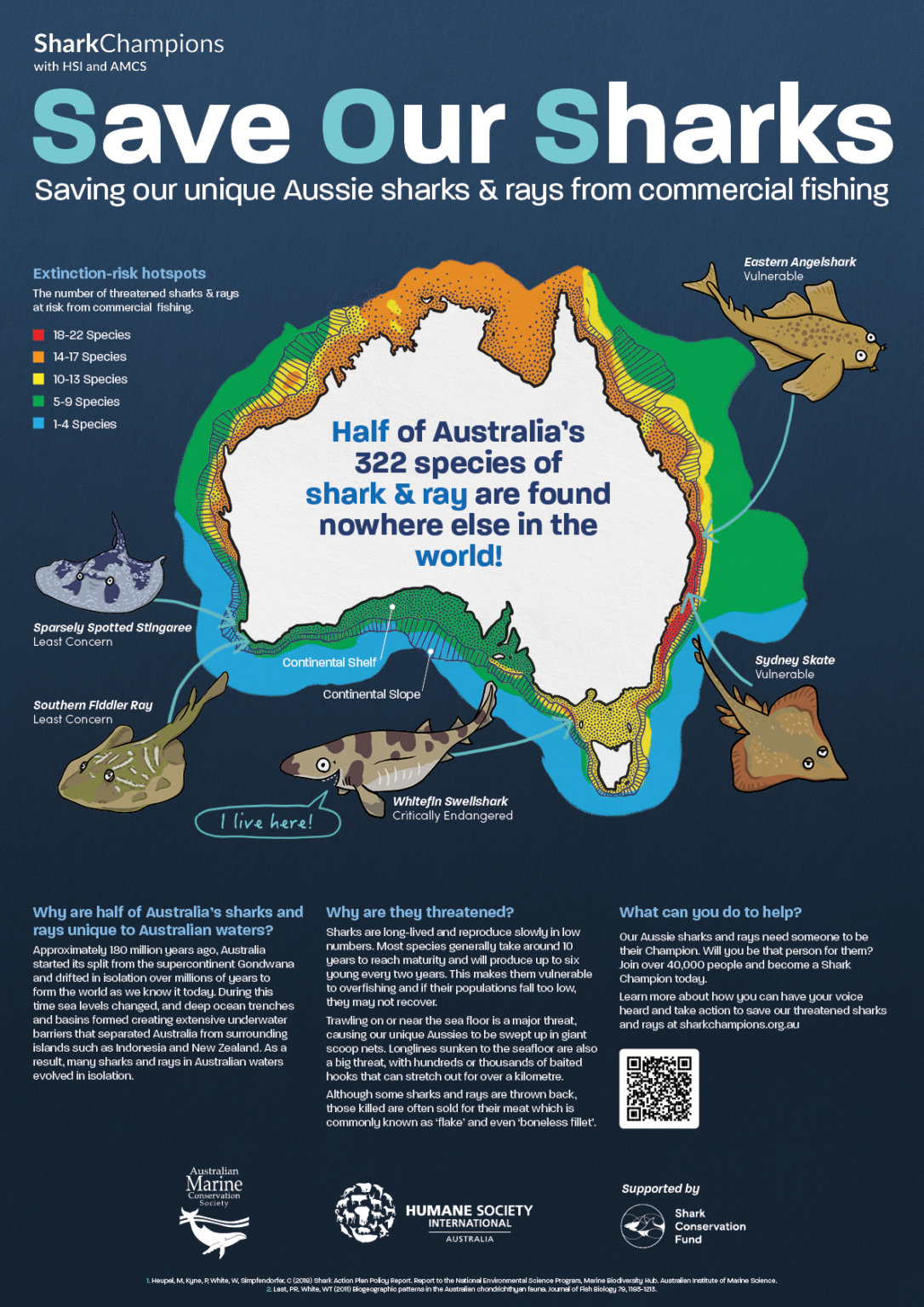 Shark Posters - Australian Marine Conservation Society