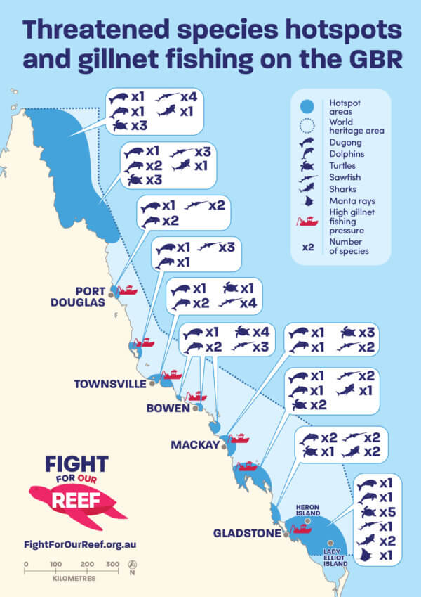 Protected Species Hotspots On The Great Barrier Reef Australian Marine Conservation Society 1711