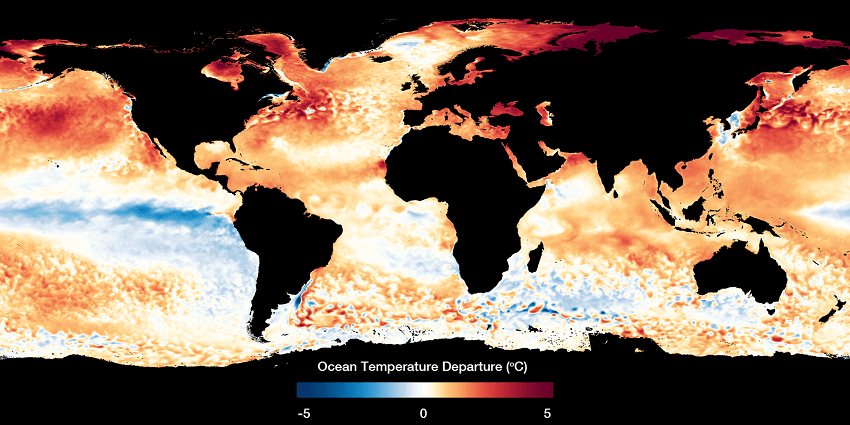 What Are Marine Heatwaves