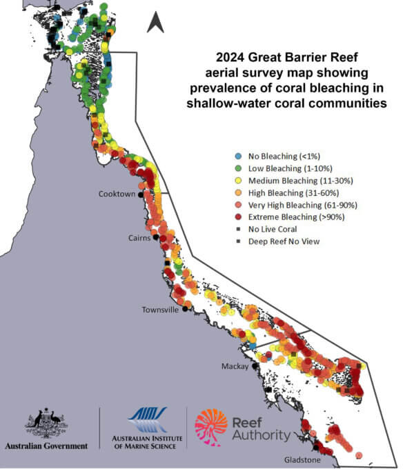 What is Coral Bleaching and What Causes It - Fight For Our Reef