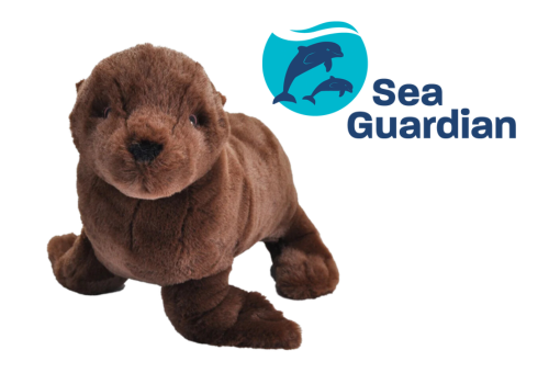 Adopt a species - sea lion